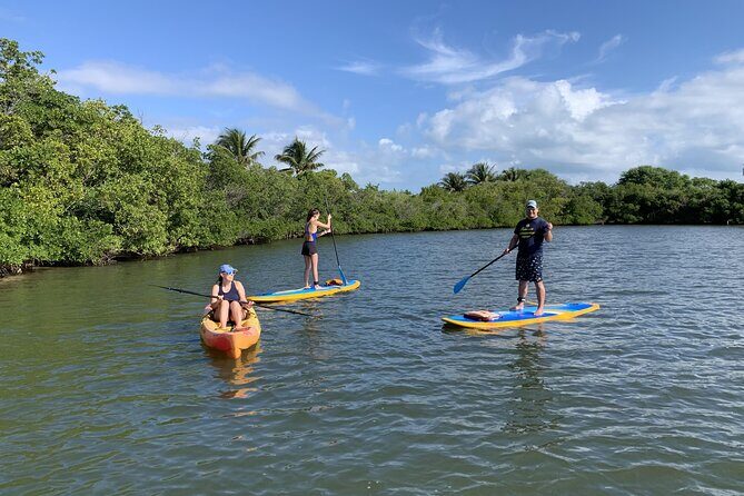 Paddle Board Rental in Vero Beach - Who Is This Experience Best For?