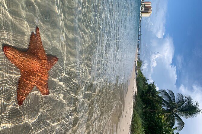 Paddle Boarding Activity to Peanut Island - Meeting Point and Logistics
