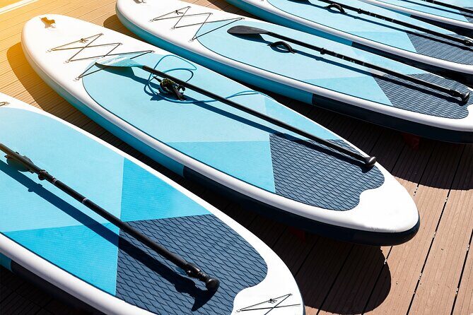 Paddle Boarding Lesson in Torrevieja - Practical Details and Booking Insights