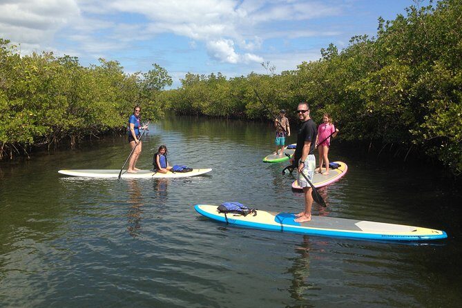 Paddle Boarding Rentals - Key Points