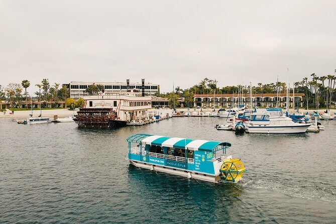 Paddle Pub San Diego Party Cruise: Drinks & Dancing for up to 26 - Key Points