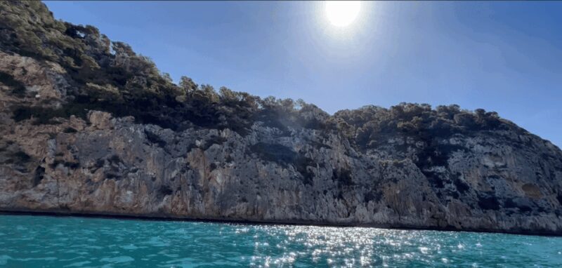 Paddle Surf Delivery Boards - Key Points