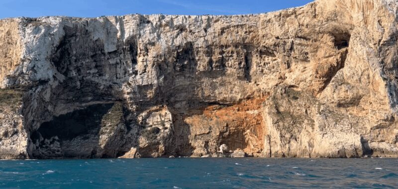 Paddle Surf Delivery Boards - What to Expect from Paddle Surf Delivery Boards