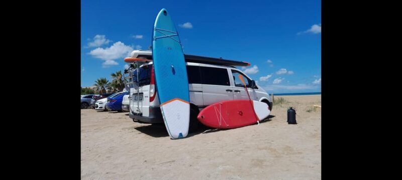 Paddle Surf Delivery Boards - Price and Value: Is It Worth It?