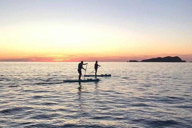 Paddle Surf with Sunset in Ibiza - Is This Tour Right for You?