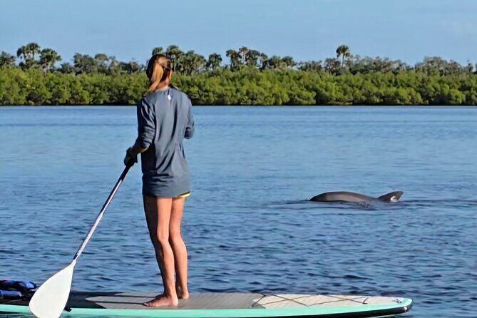 Paddle With Native Wildlife - Exploring the Paddle With Native Wildlife Tour in Daytona Beach