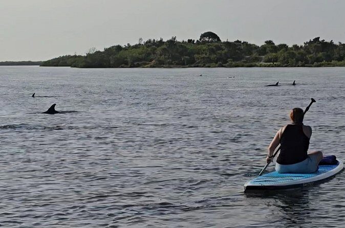 Paddle With Native Wildlife - Who Will Love This Tour?