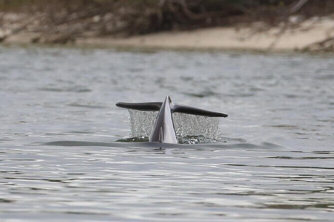 Paddle With Native Wildlife - FAQ