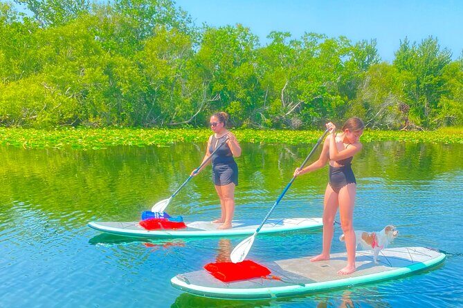 Paddle with Pups in Paradise - Paddleboard or Kayak - What Is Paddle with Pups in Paradise?