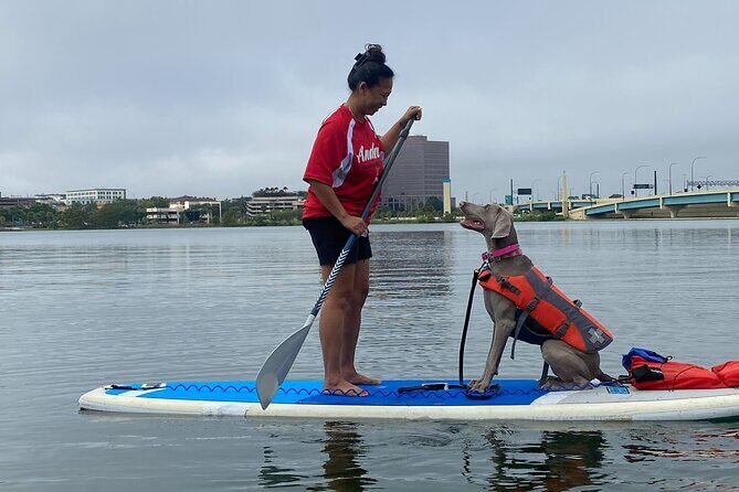 Paddle with Pups in Paradise - Paddleboard or Kayak - Who Will Love This Experience?