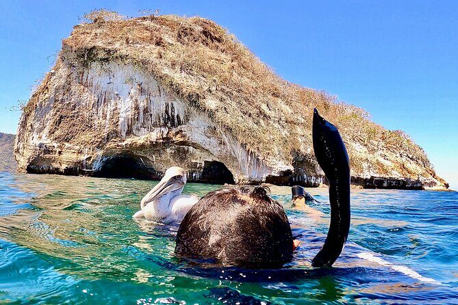 Paddleboard and Snorkeling Experience in Los Arcos - Who Should Consider This Tour?