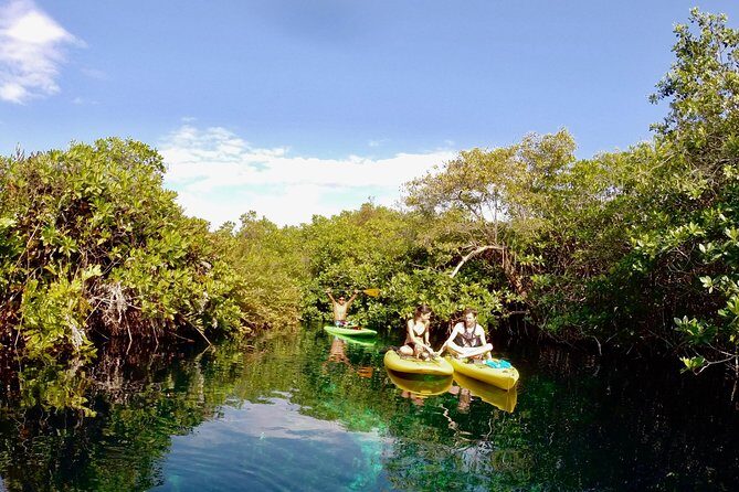 Paddleboard Cenote Tour - Key Points