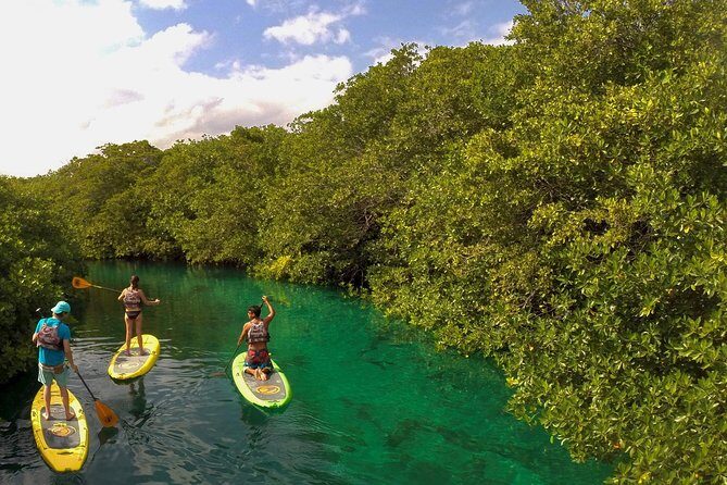 Paddleboard Cenote Tour - What to Expect from the Itinerary