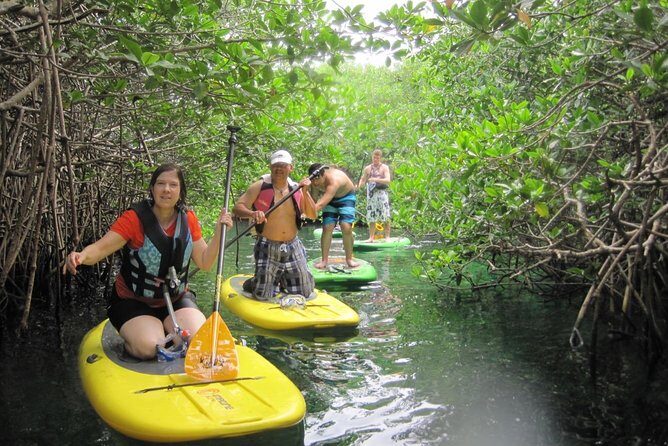 Paddleboard Cenote Tour - The Practicalities: Details That Matter