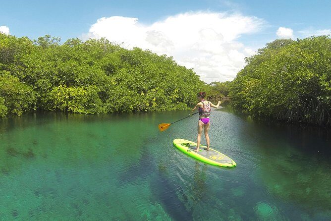Paddleboard Cenote Tour - Who Should Consider This Tour?
