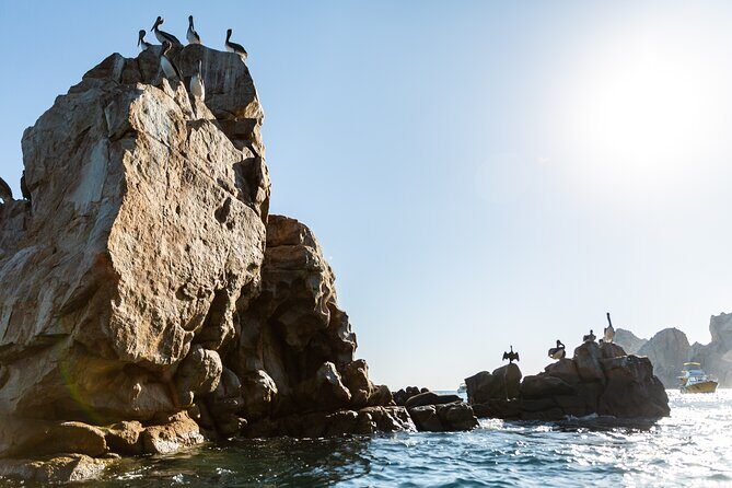 Paddleboard Expedition to the Arch of Cabo San Lucas, Lovers Beach & Snorkel - FAQ