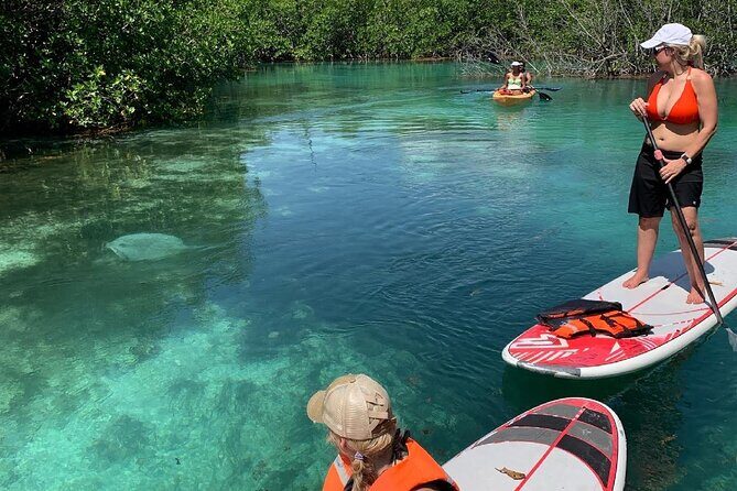 Paddleboard Kayak Tour in Cancun - Exploring the Experience: What You Can Expect