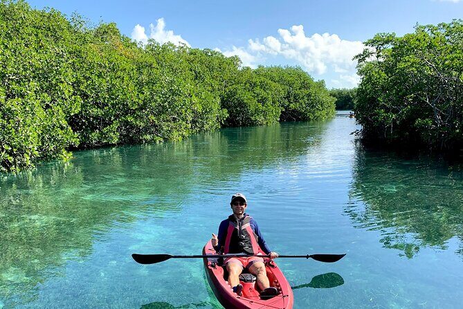 Paddleboard Kayak Tour in Cancun - The Price and Its Value
