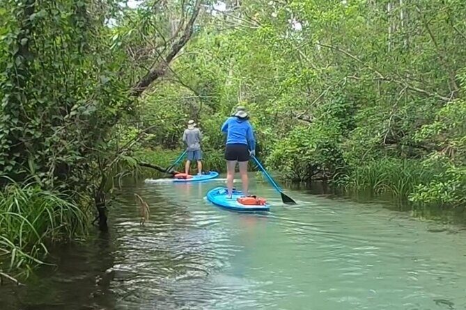 Paddleboard Rental  Three Sisters Springs & Manatee Refuge - Key Points