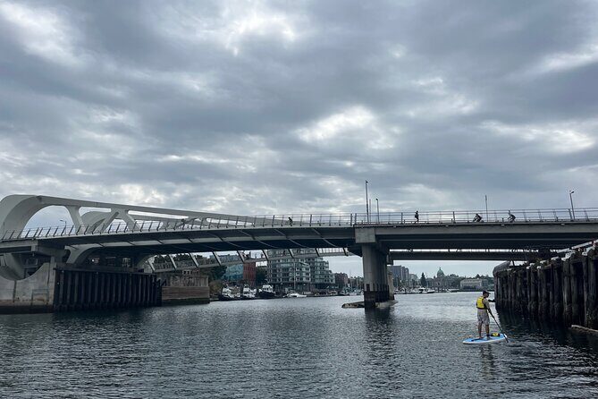 Paddling Inner Harbour - Downtown Victoria BC - Who Is This Tour Best For?