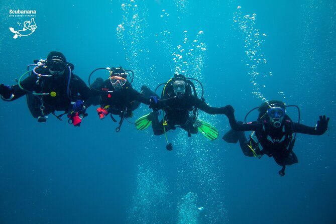 PADI Advanced Open Water Diver Course (AOWD) - 2 days - Is It Worth the Price?