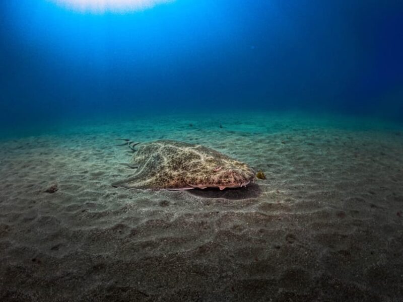 PADI ADVANCED OPEN WATER DIVER - Key Points