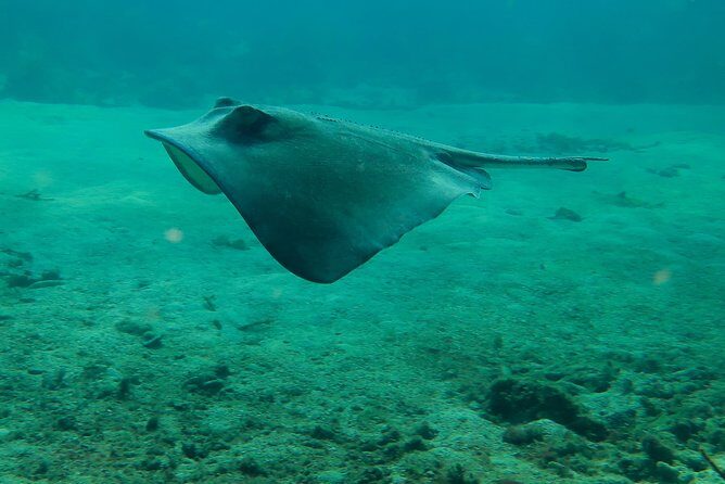 PADI Discover Scuba Diving - Who Is This Tour Best For?