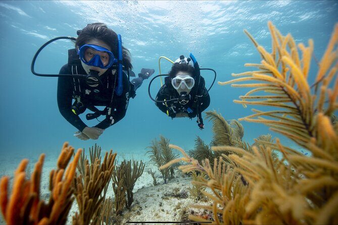 PADI Discover Scuba Diving - Who Should Consider This Tour?