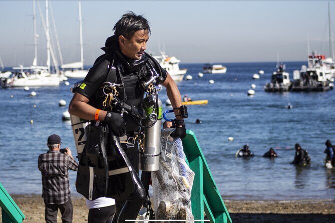 PADI Discover Scuba Diving - Final Thoughts