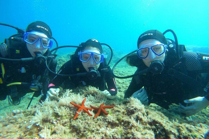 PADI Discover Scuba Diving in Dubrovnik - The Marine Life and Scenery in Dubrovnik