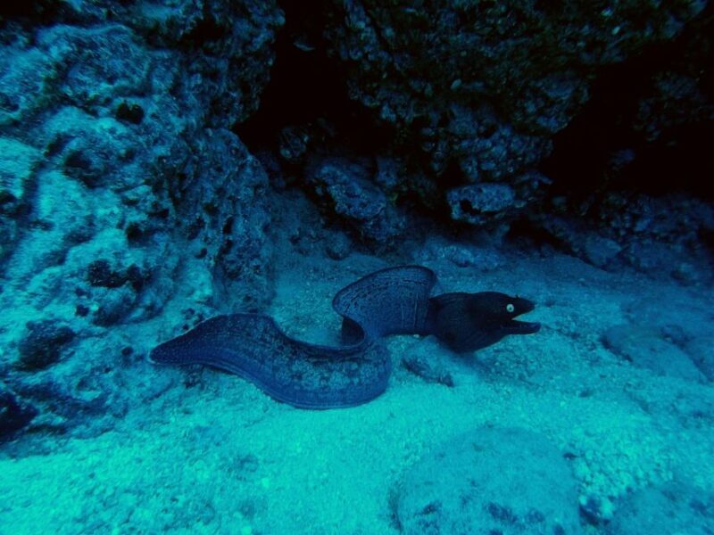 PADI Open Water Course in 3 Days - The Sum Up