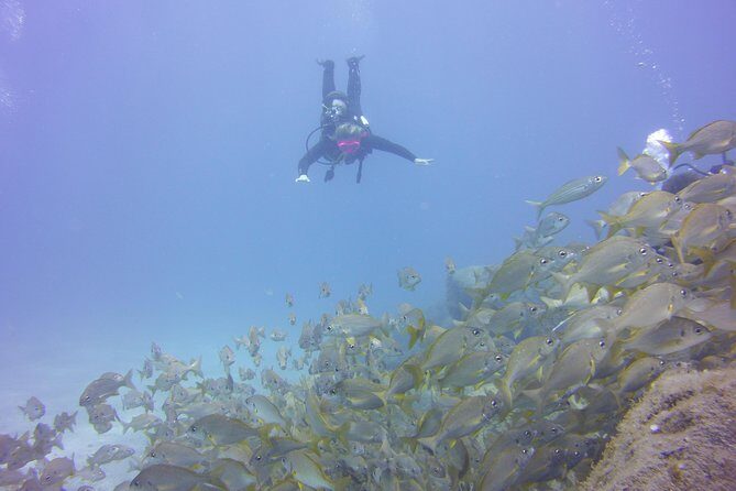 PADI Open Water Diver Course - The Locations and Underwater Highlights