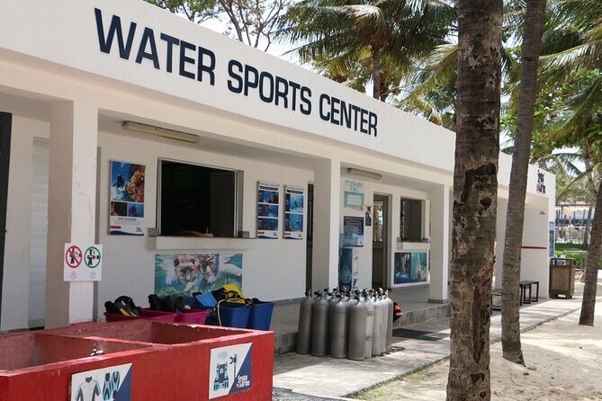 PADI Open Water Diver Course in Playa del Carmen - The Sum Up