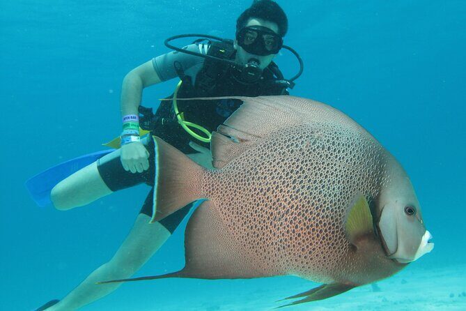 PADI Open Water Diving Certification Course Activity - Key Points