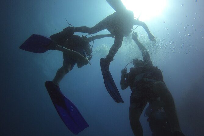 PADI Open Water Diving Certification Course Activity - The Experience Breakdown: What You Can Expect