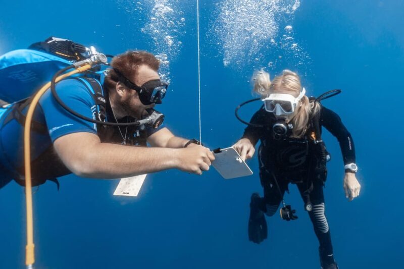 PADI Open Water Diving Course Tenerife - What to Expect from the Course