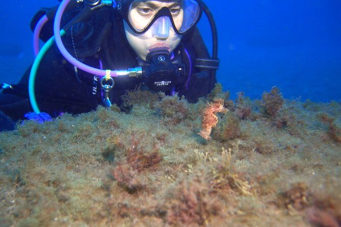 PADI ReActivate, Refresh your scuba skills! - The Value of the Course