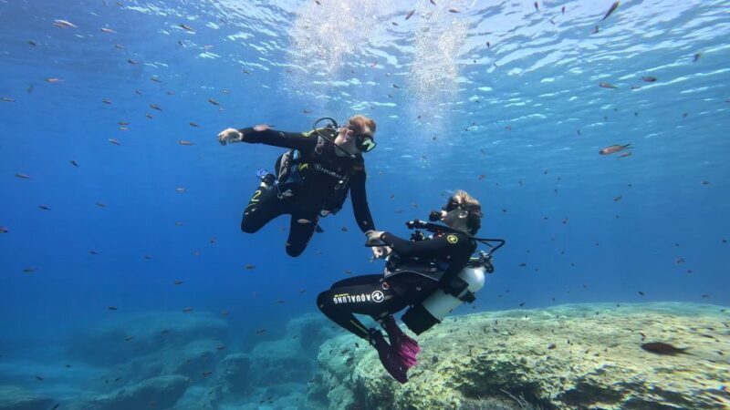 PADI Scuba Diving Program for Beginners in Peloponesse - What Do Real Participants Say?
