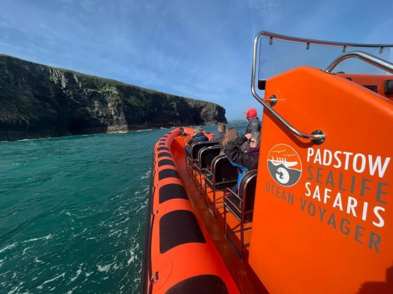 Padstow: Guided RIB Sealife Safari - Final Thoughts