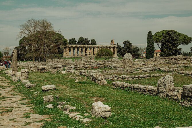 Paestum 3 Hours Archaeological Private Tour - What the Tour Offers