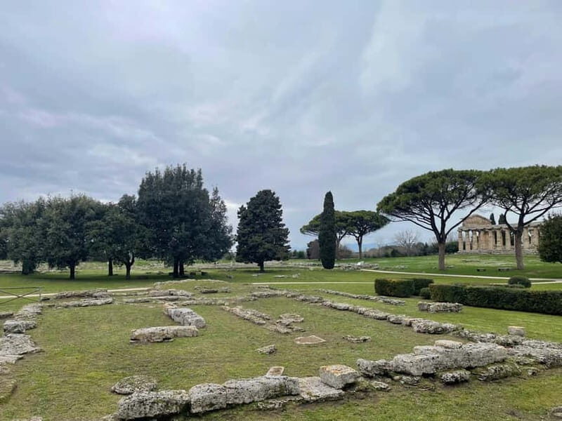 Paestum for cruise passengers - Key Points