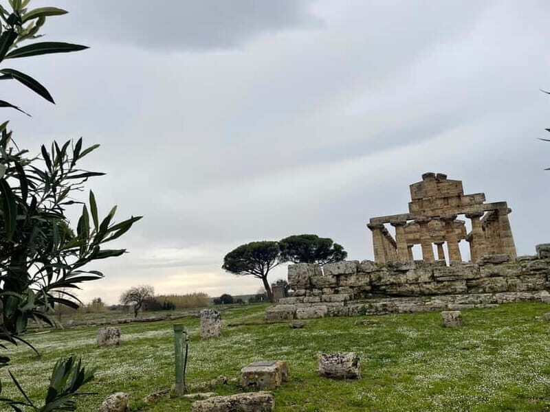 Paestum for cruise passengers - Paestum Museum: A Treasure Trove of Artifacts