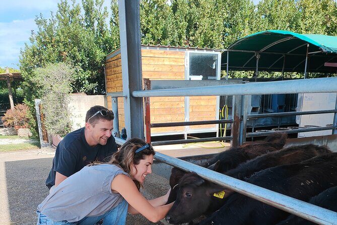 Paestum Traditions, Buffaloes, Ceramics, Temples - Who Will Enjoy This Tour?