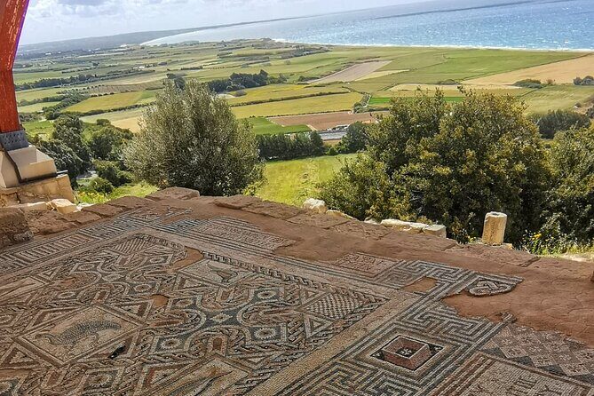 Pafos - Archaeology & Beauty tour from Limassol - Who Will Enjoy This Tour?
