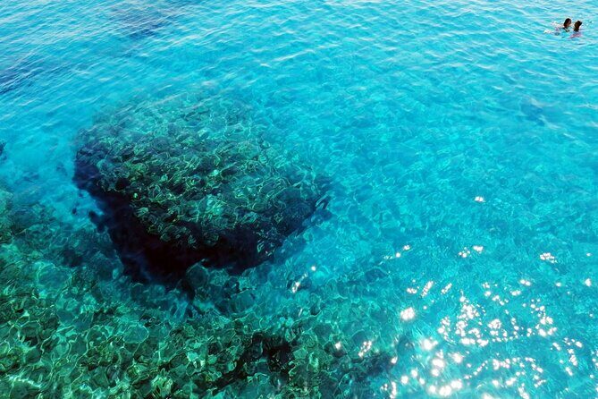 Pafos Zoo Visit & Blue Lagoon Cruise with Local Guide from Paphos - Who Is This Tour Best For?