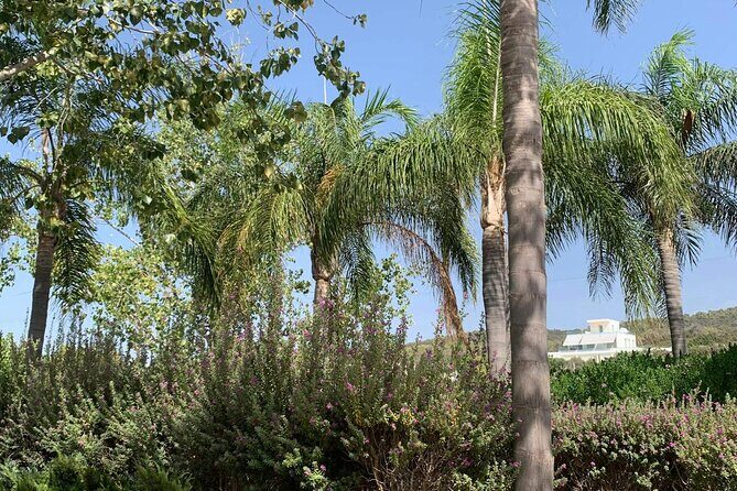 Pafos Zoo Visit & Blue Lagoon Cruise with Local Guide from Paphos - Final Thoughts