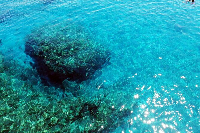 Pafos Zoo Visit & Blue Lagoon Cruise with Local Guide Limassol - Key Points