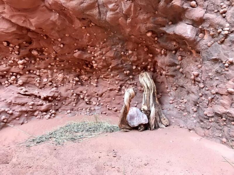 Page: Antelope Valley Wind Pebble Canyon Tour - The Experience: Real Insights from Travelers