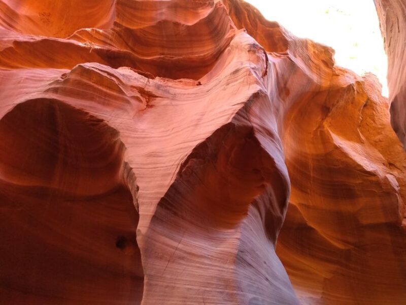 Page: Lower Antelope Canyon Entry and Navajo Guided Tour - Who Will Love This Tour?