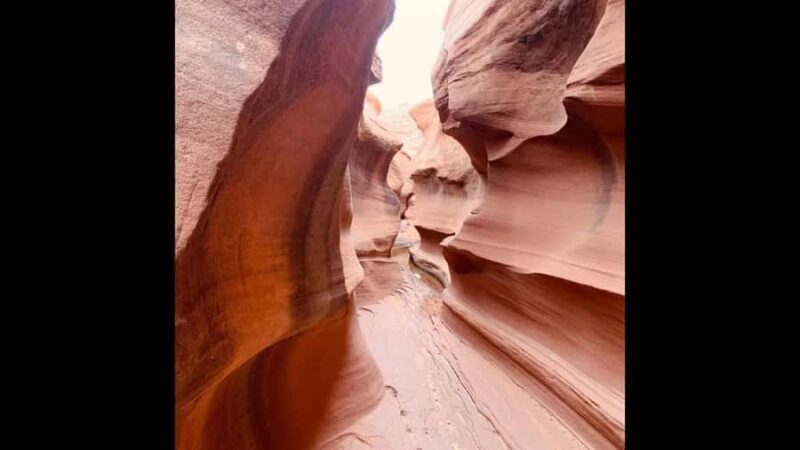 Page: Rams Head Canyon Guided Hike - Price, Value, and Practical Considerations